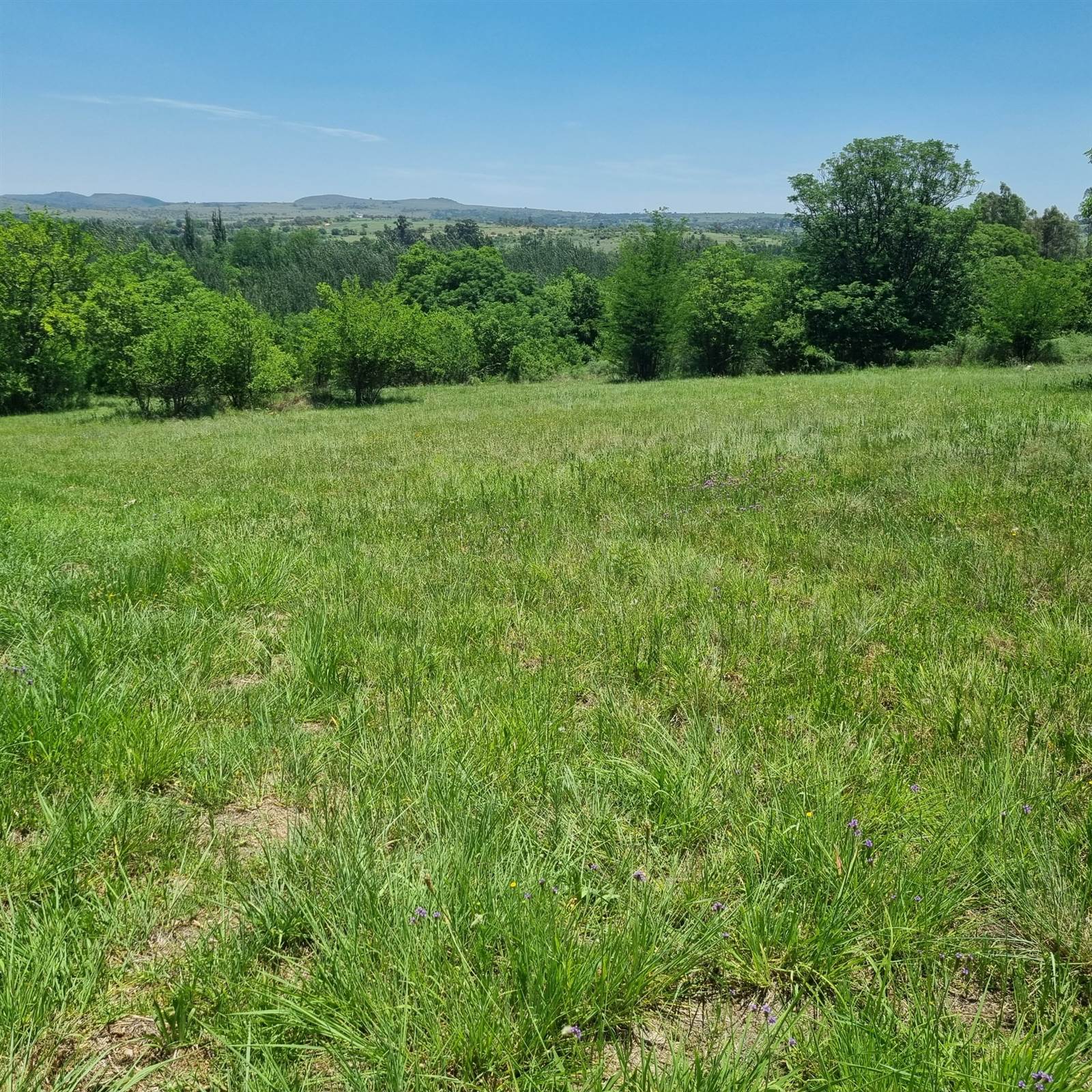 3810 m² Land available in Blair Atholl Estate photo number 4