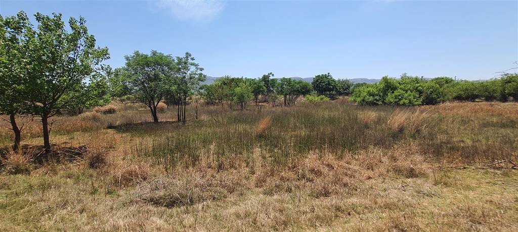 1275 m² Land available in Melodie photo number 10