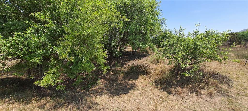 1275 m² Land available in Melodie photo number 2