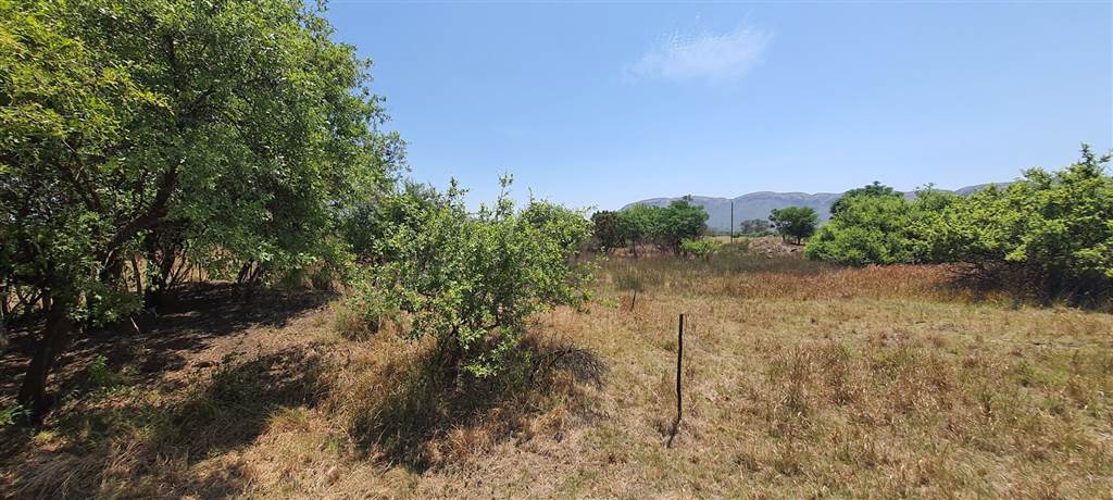 1275 m² Land available in Melodie photo number 8