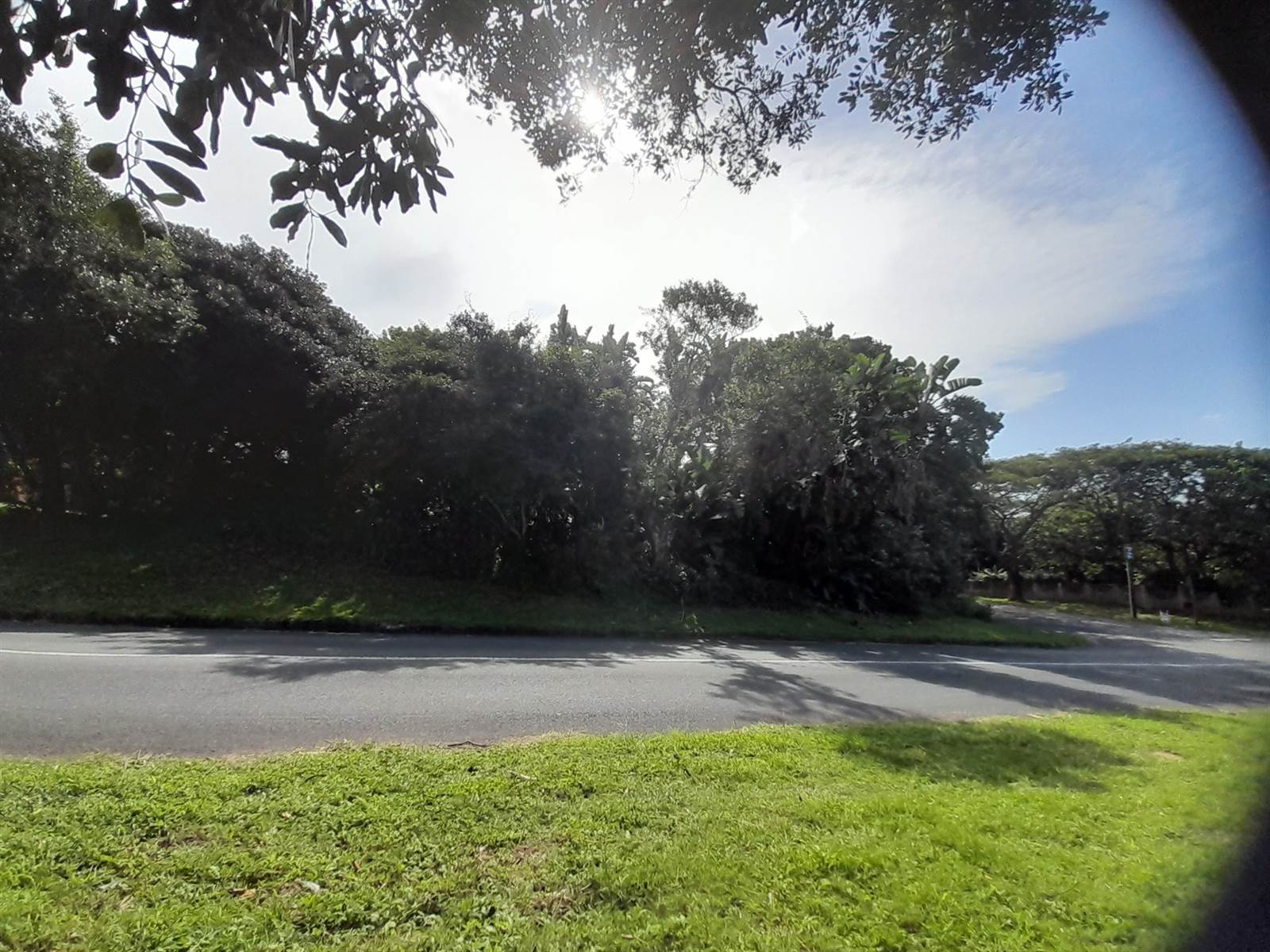 1260 m² Land available in Woodgrange photo number 12