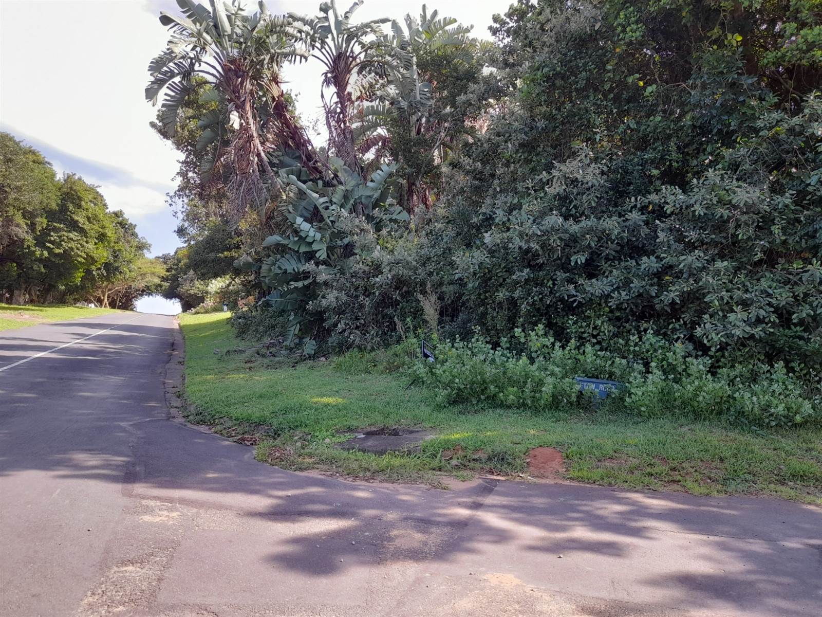 1260 m² Land available in Woodgrange photo number 2