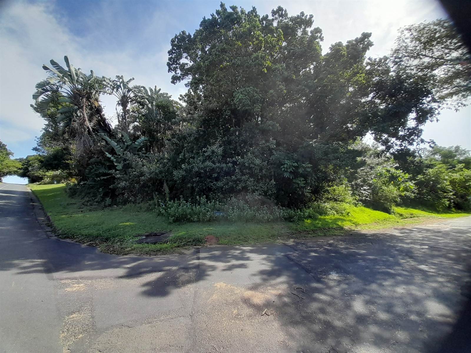 1260 m² Land available in Woodgrange photo number 1