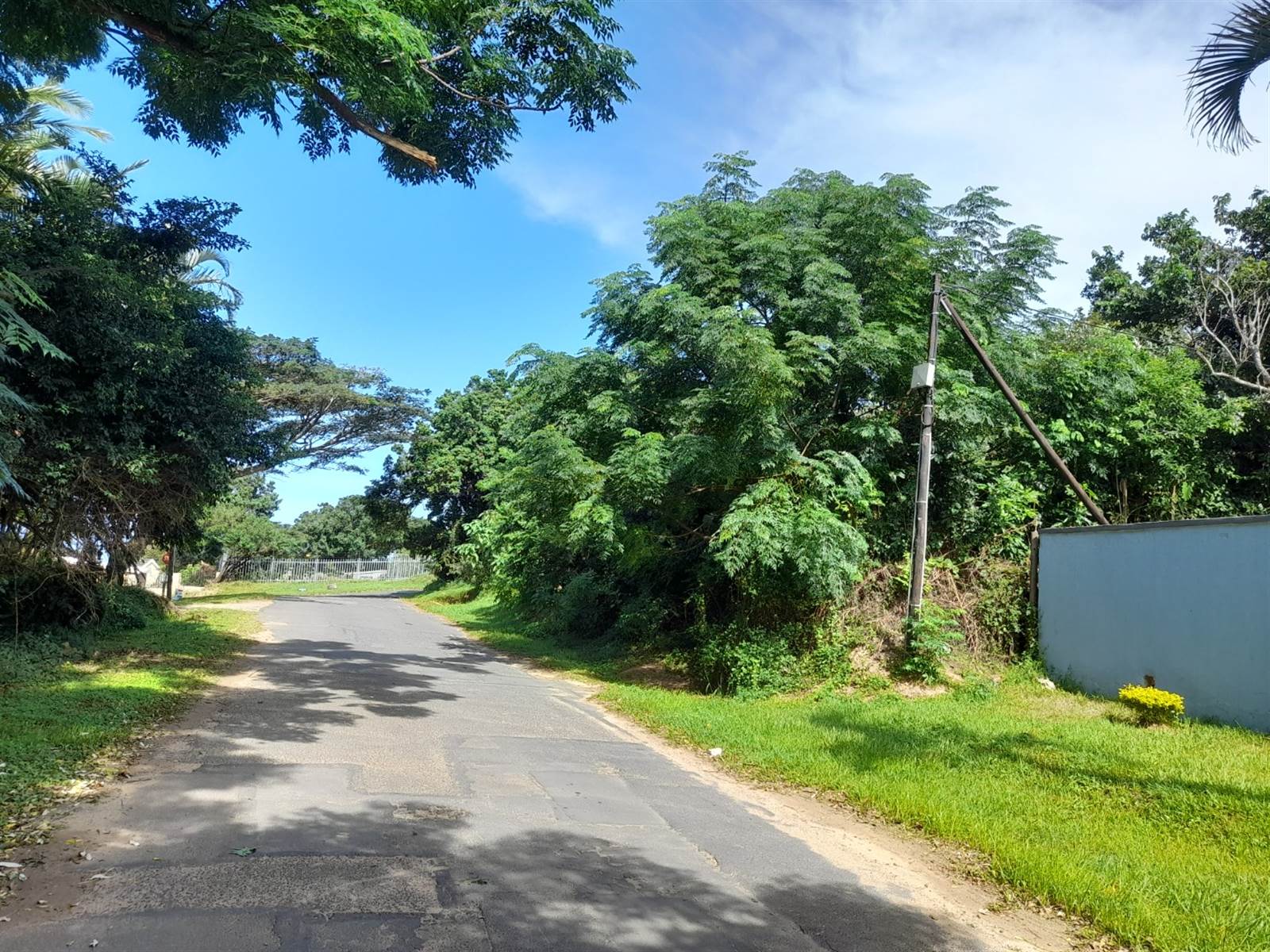 1260 m² Land available in Woodgrange photo number 6
