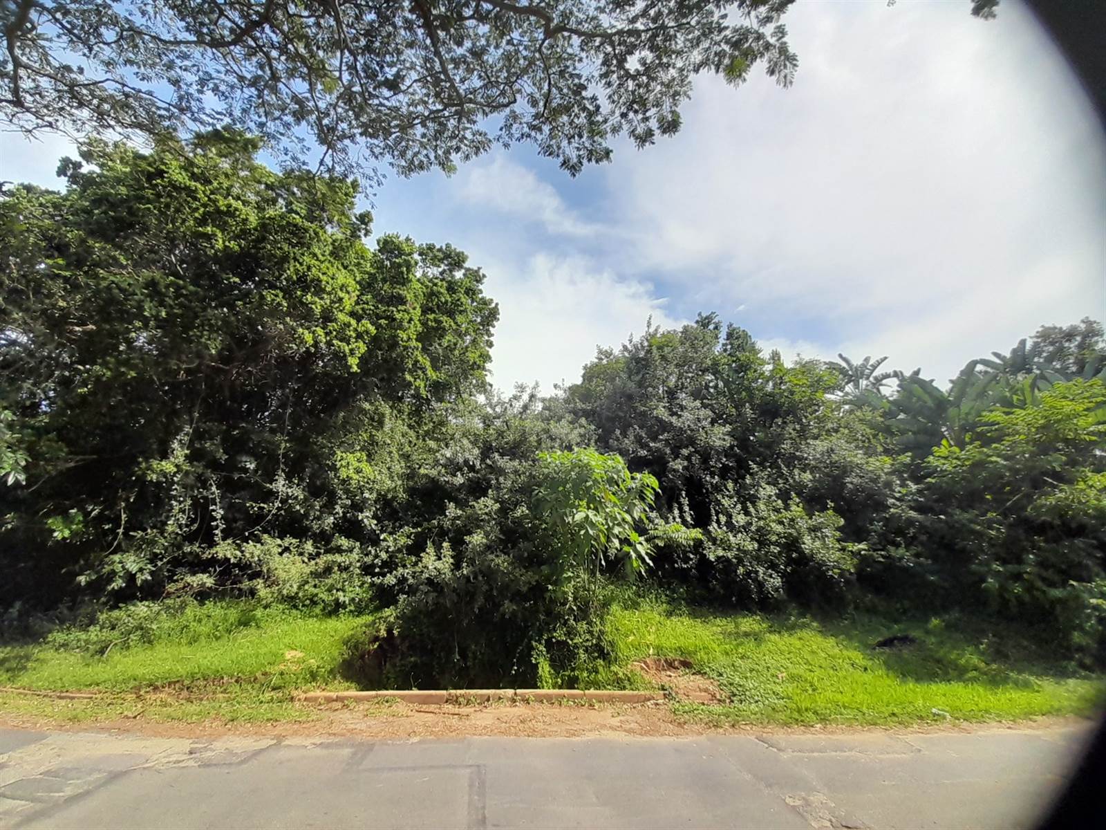 1260 m² Land available in Woodgrange photo number 9