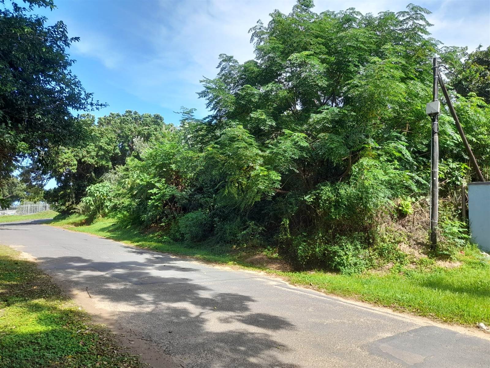 1260 m² Land available in Woodgrange photo number 5