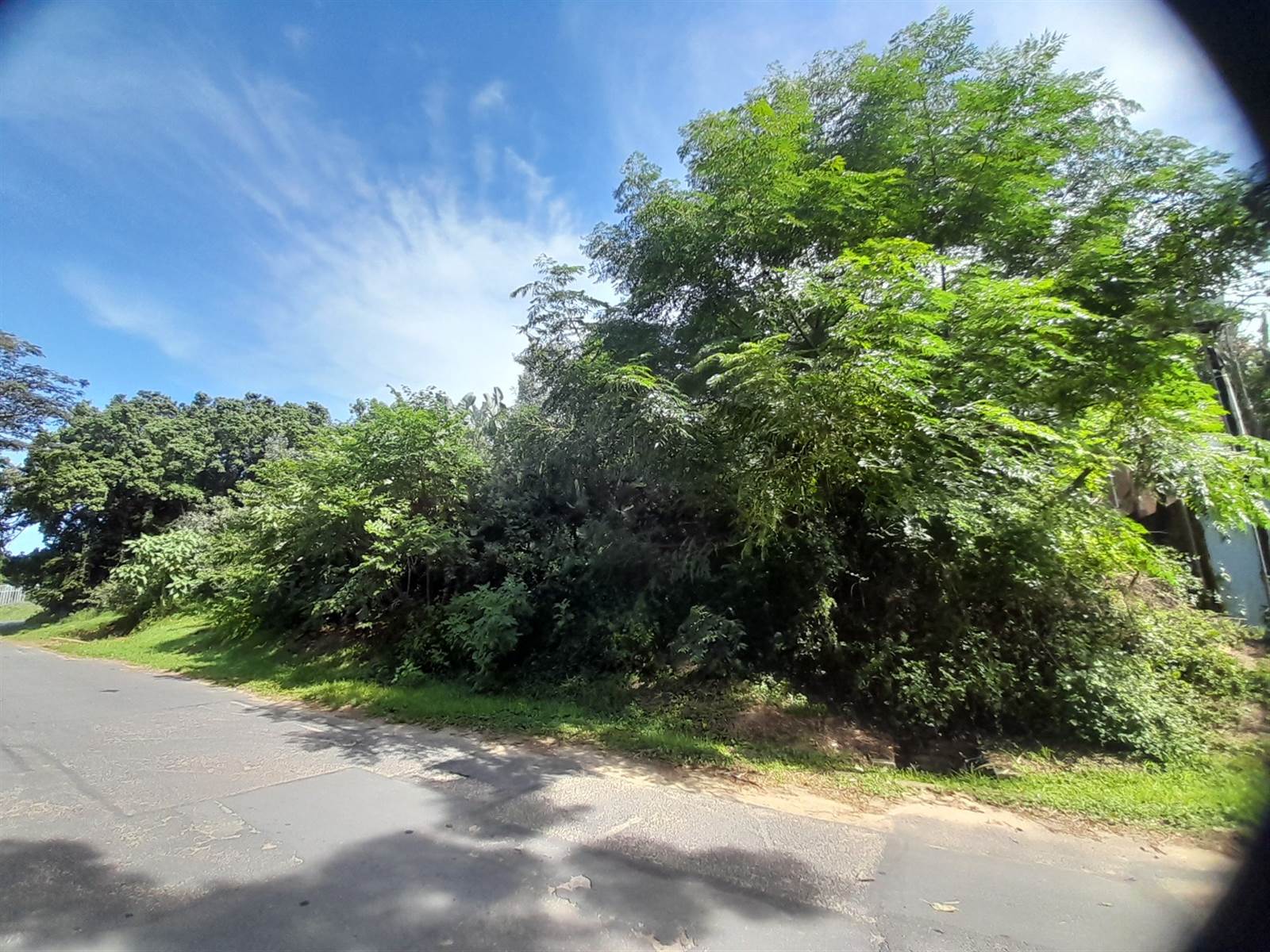 1260 m² Land available in Woodgrange photo number 8