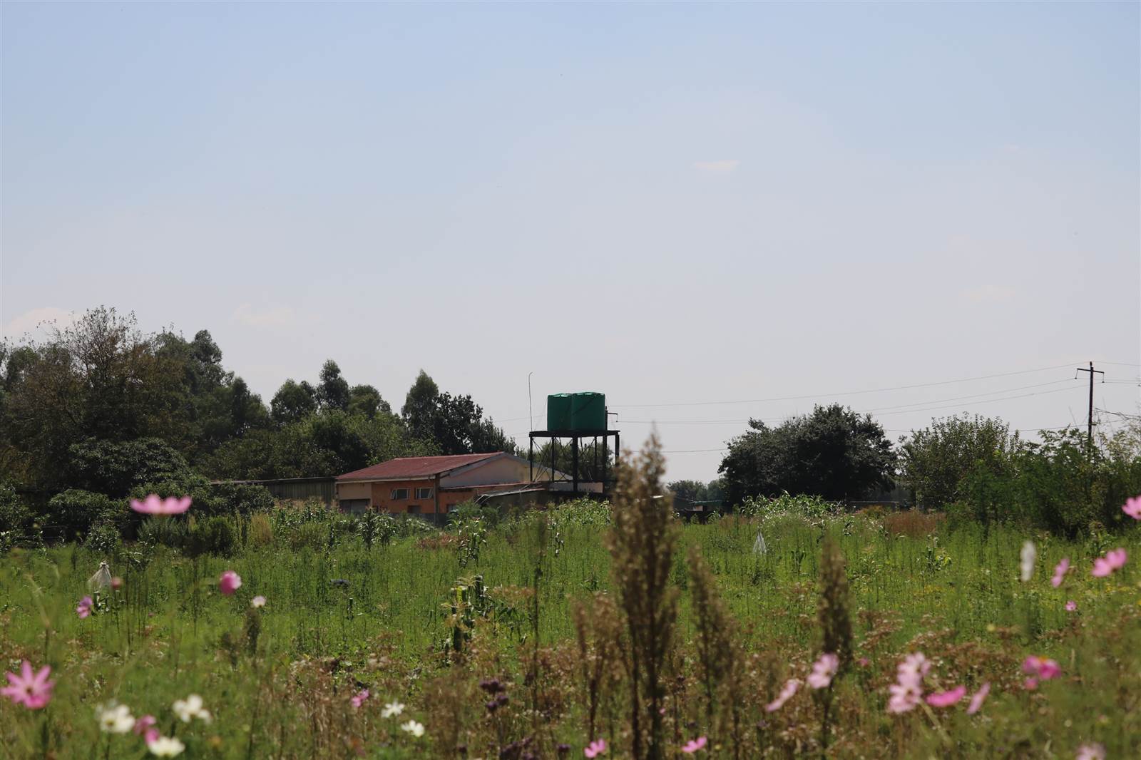 17.9 ha Farm in Zesfontein AH photo number 28
