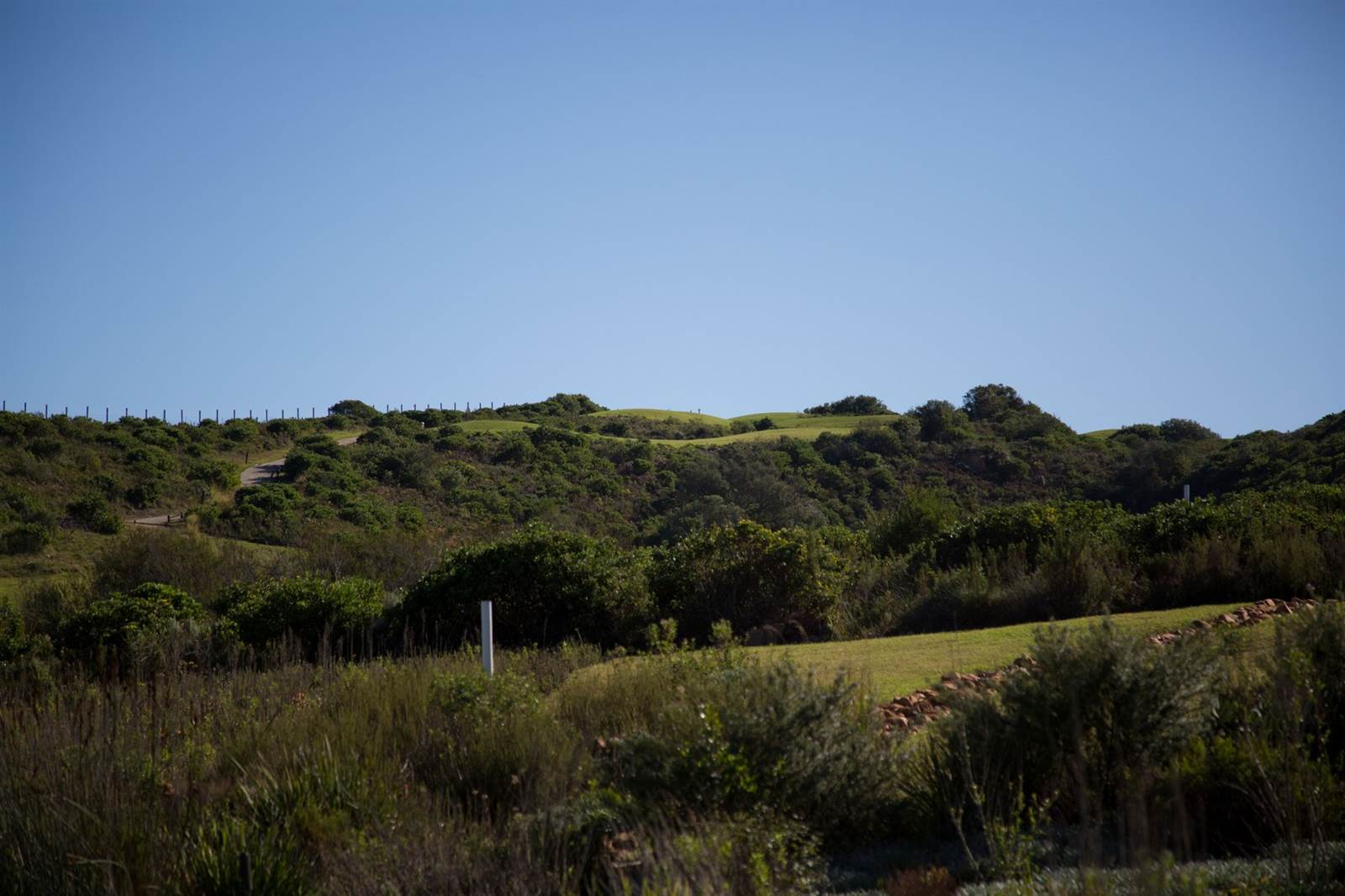 1001 m² Land available in Pezula Golf Estate photo number 16
