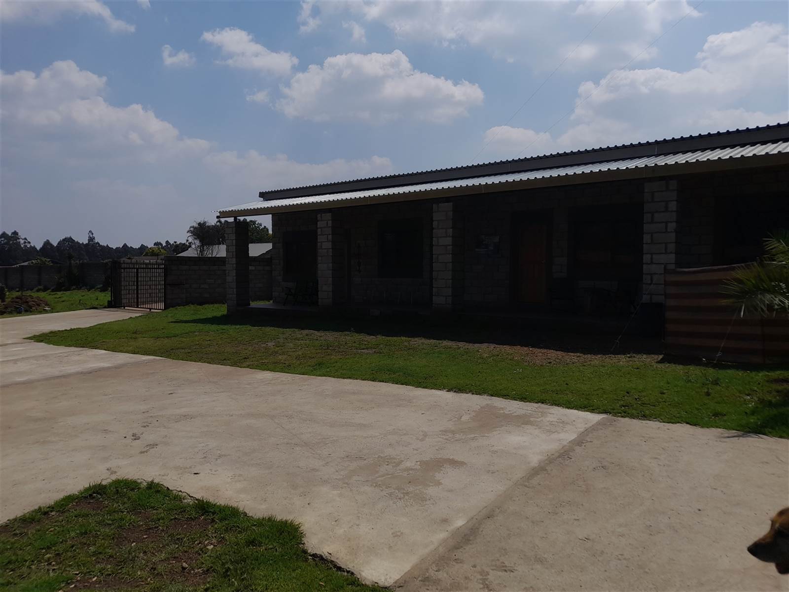 2.2 ha Farm in Piet Retief photo number 16