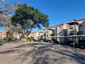 Apartment in Shelly Beach