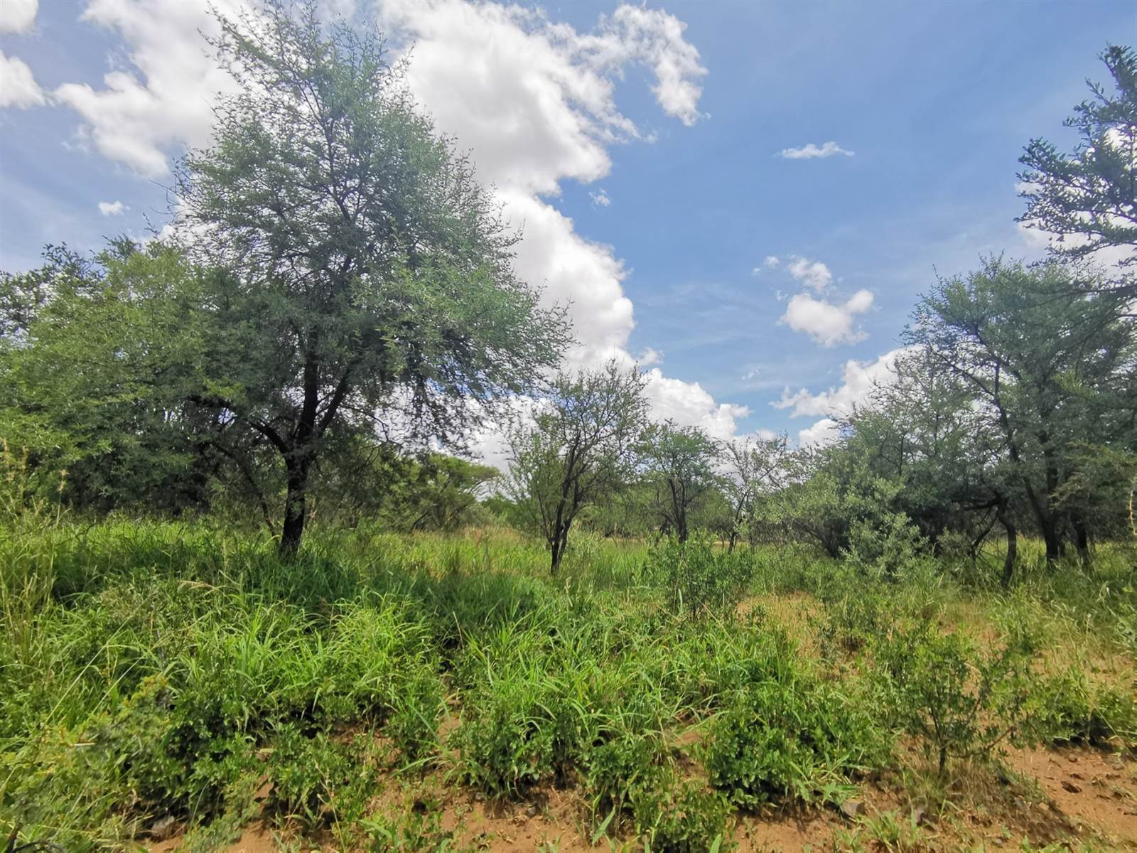 859 m² Land available in Mokopane photo number 6