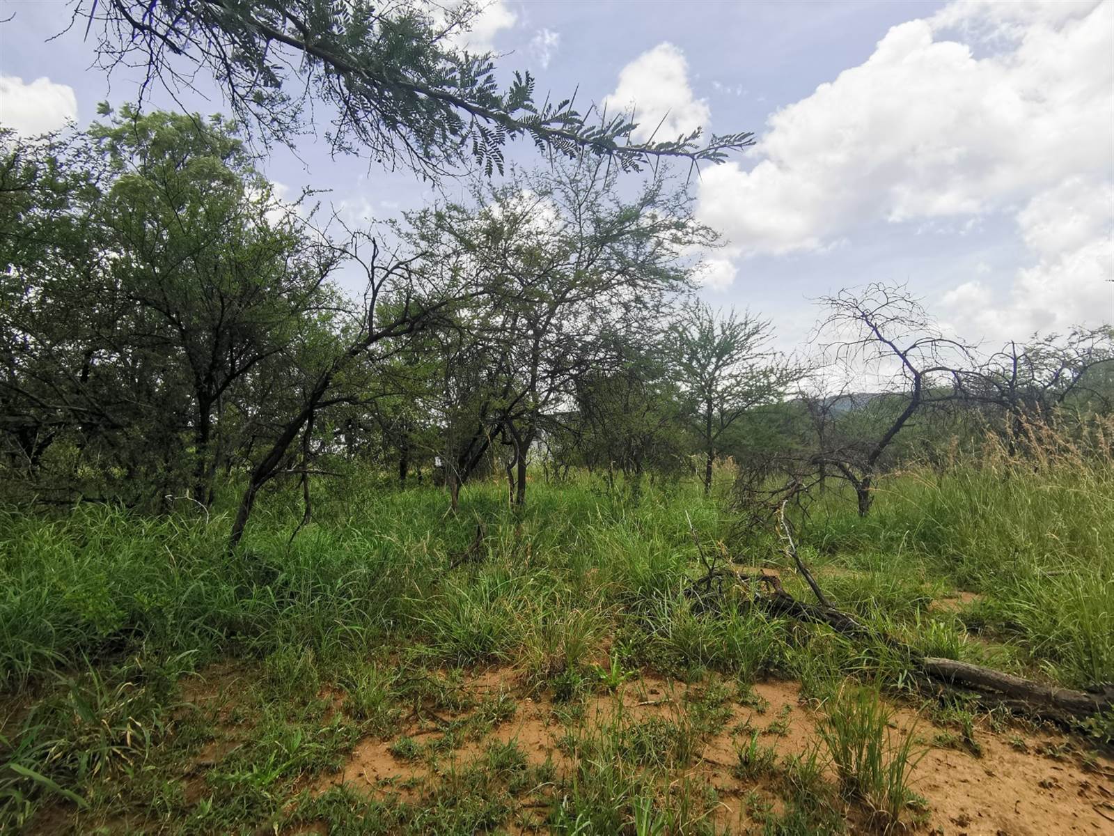 859 m² Land available in Mokopane photo number 3