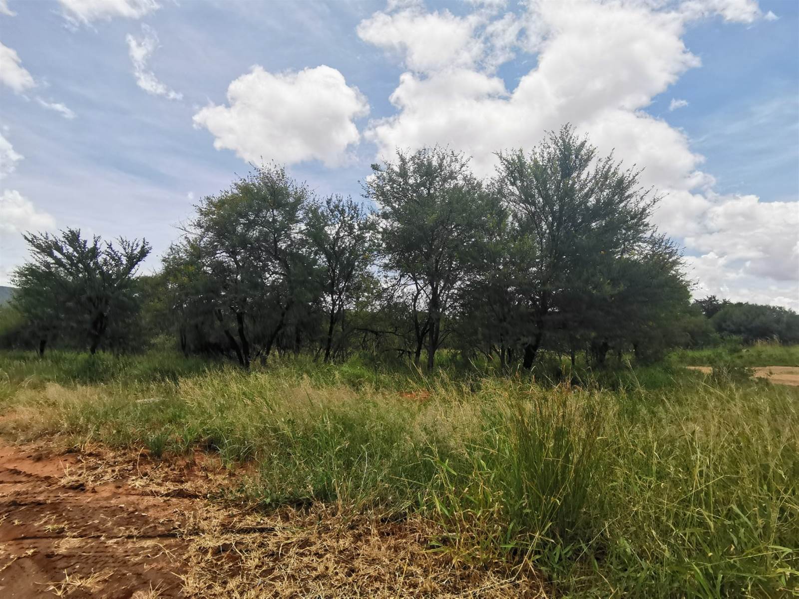 859 m² Land available in Mokopane photo number 5