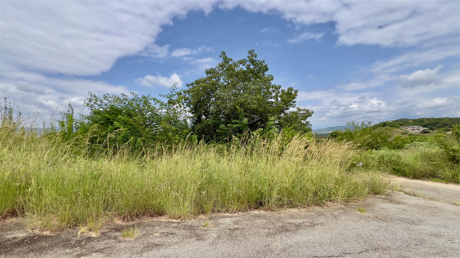 1560 m² Land available in Drum Rock photo number 16