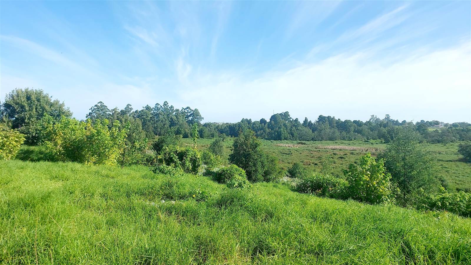 1504 m² Land available in Blanco photo number 7