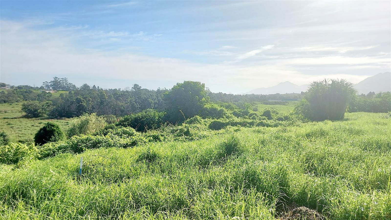 1504 m² Land available in Blanco photo number 4