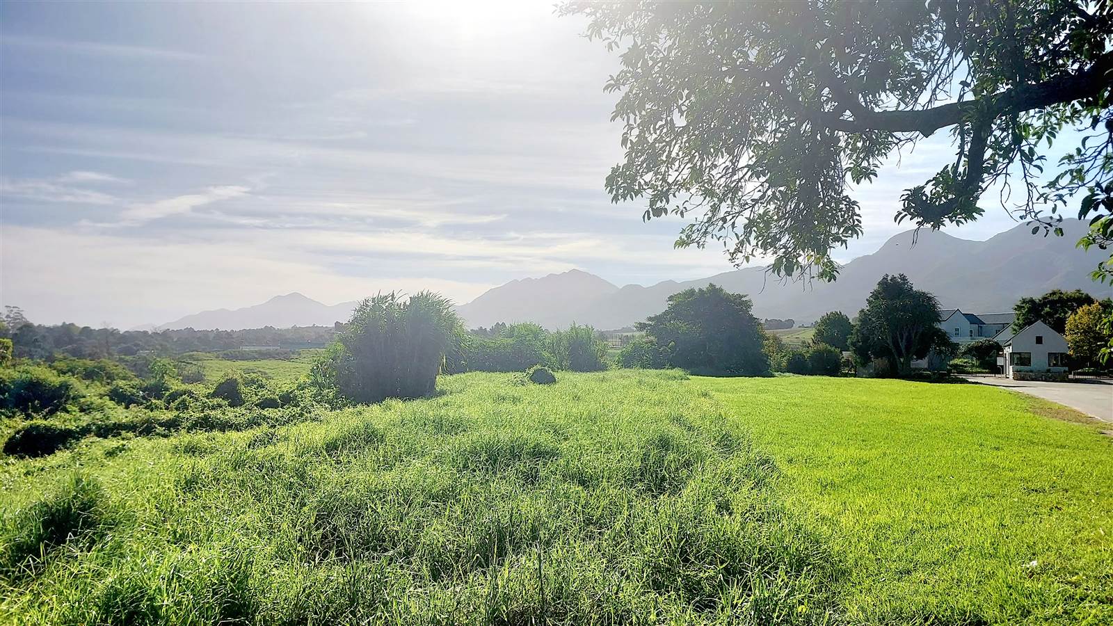 1504 m² Land available in Blanco photo number 3