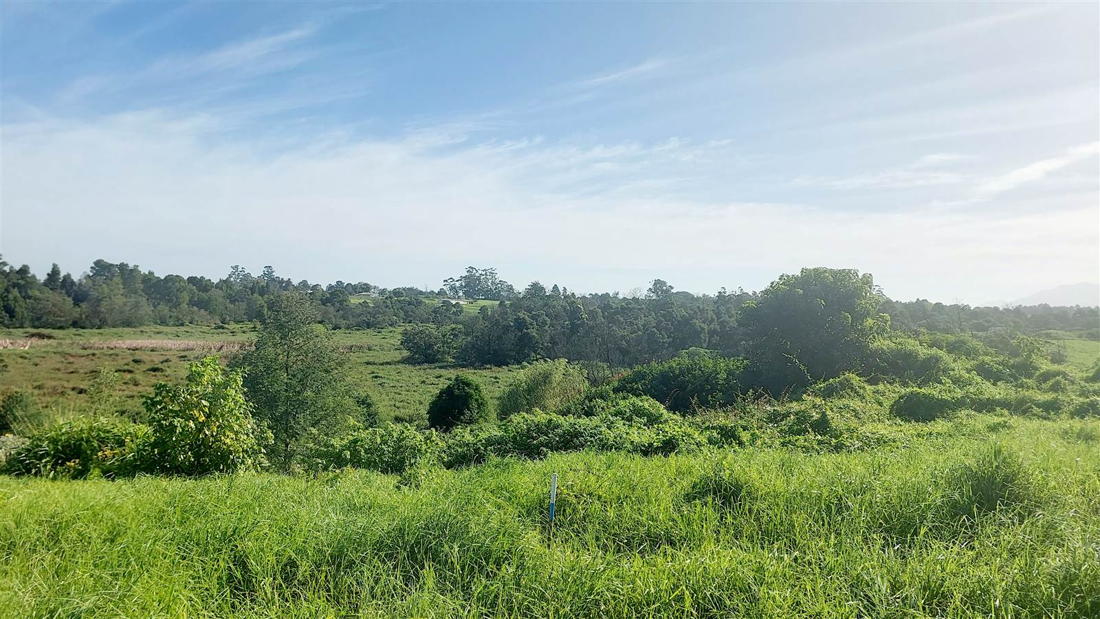 1504 m² Land available in Blanco photo number 6