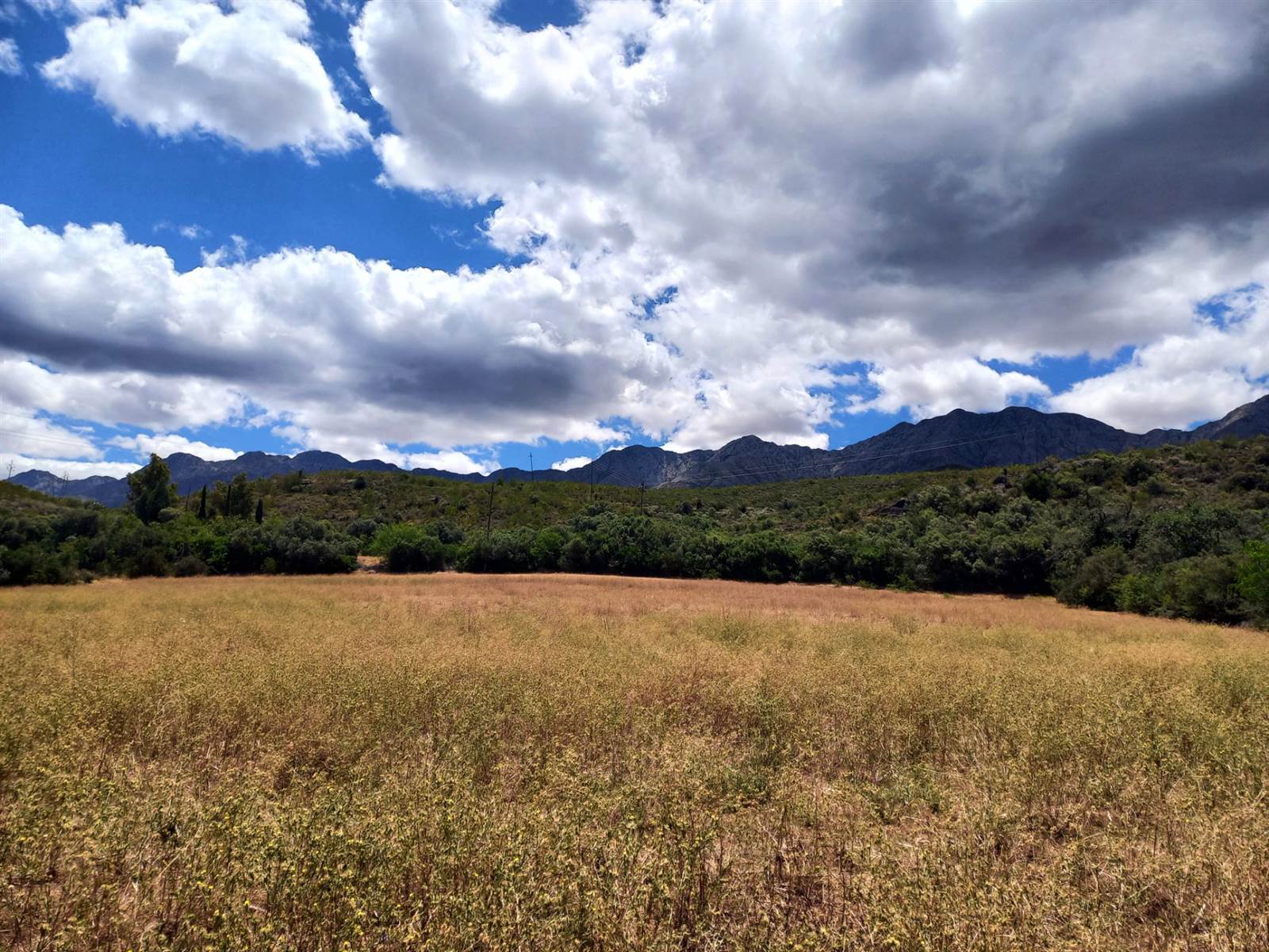 1.8 ha Land available in Oudtshoorn Central photo number 12