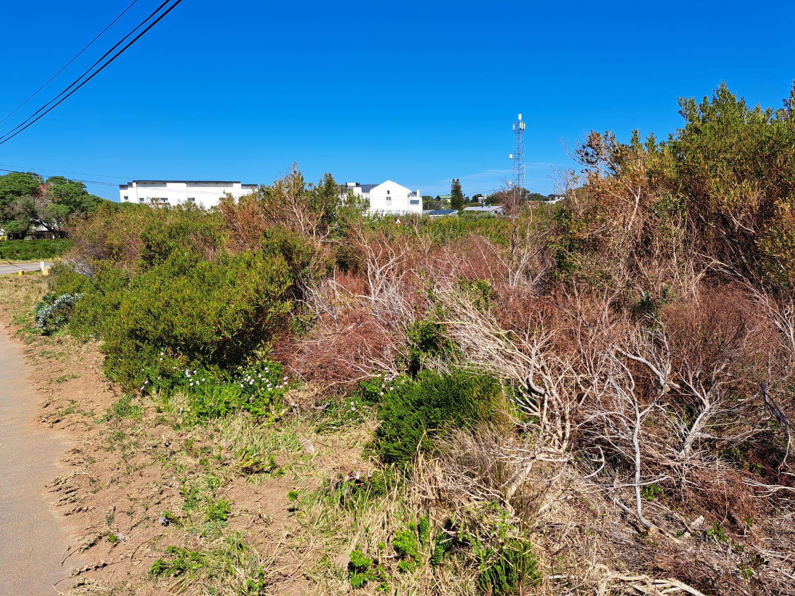 885 m² Land available in Bettys Bay photo number 12