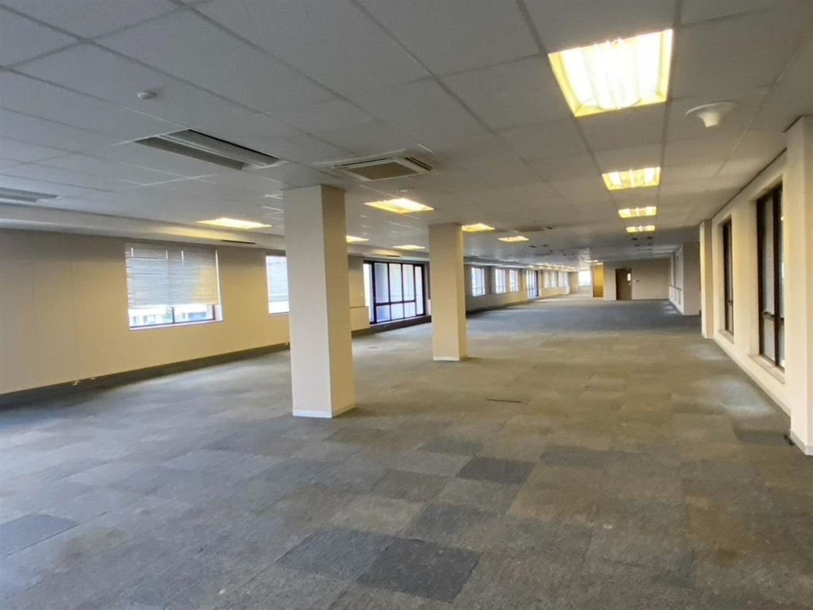 6315  m² Commercial space in Parktown photo number 12
