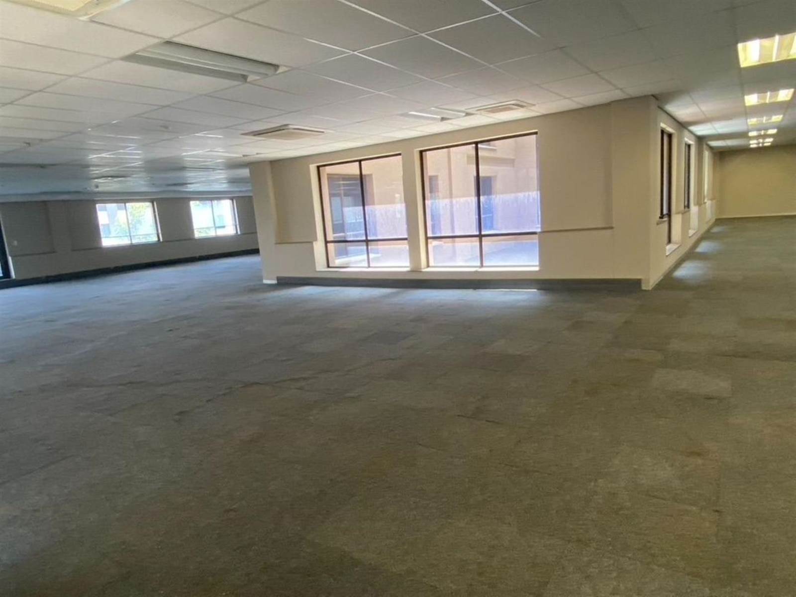 6315  m² Commercial space in Parktown photo number 14