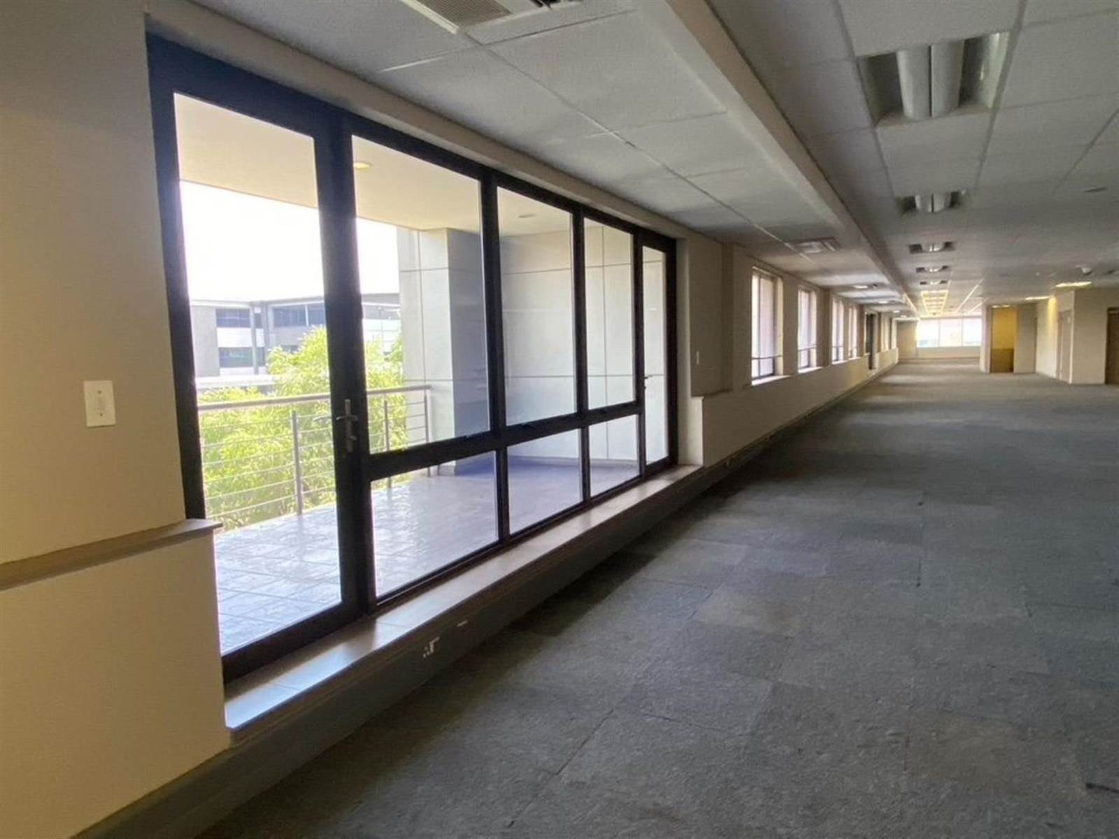 6315  m² Commercial space in Parktown photo number 2