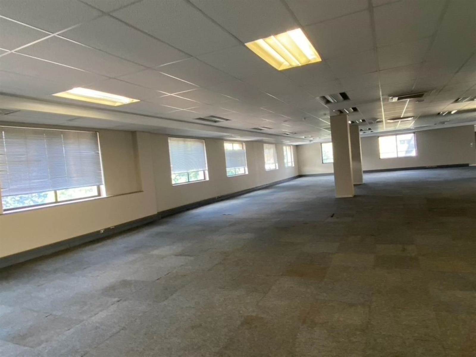 6315  m² Commercial space in Parktown photo number 6