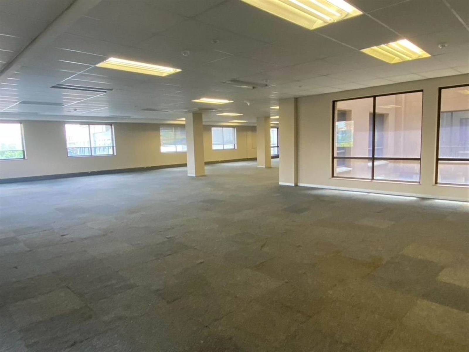 6315  m² Commercial space in Parktown photo number 16