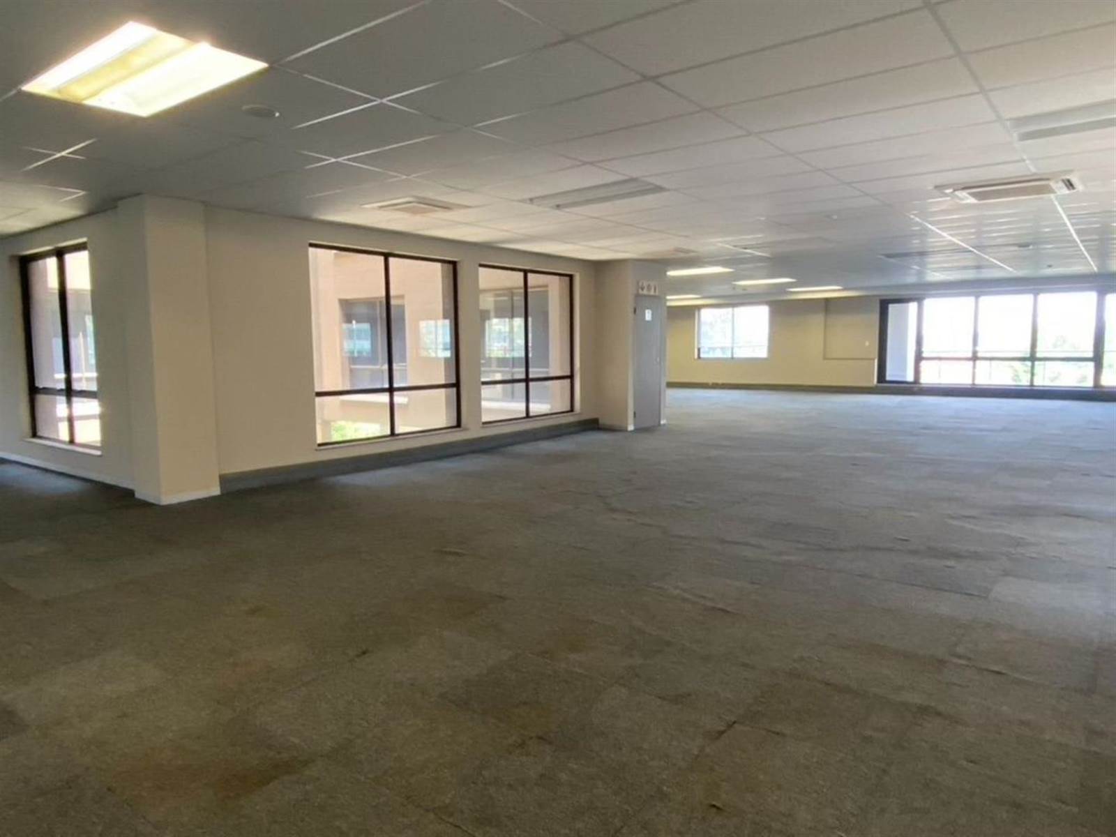 6315  m² Commercial space in Parktown photo number 7