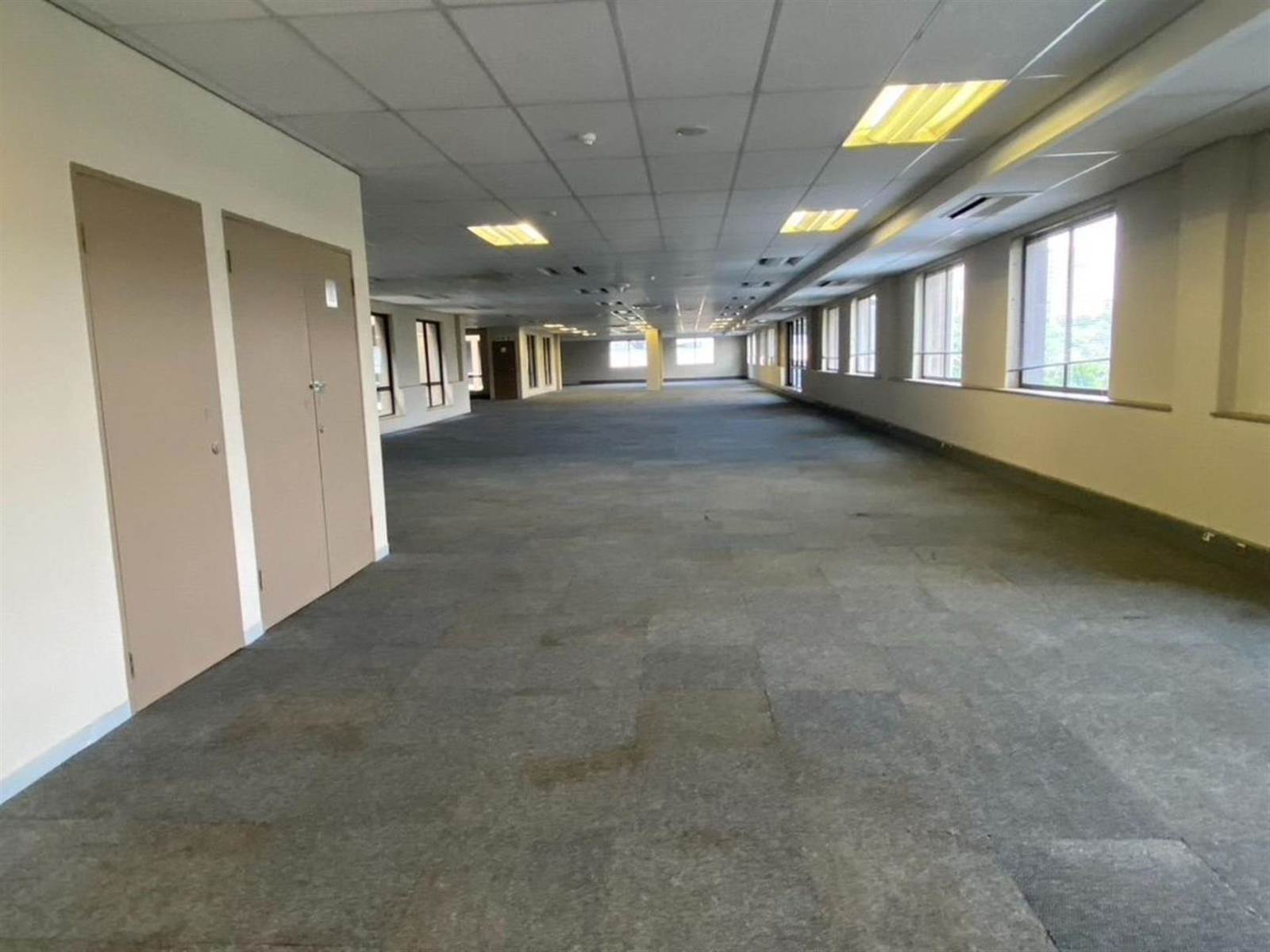 6315  m² Commercial space in Parktown photo number 15