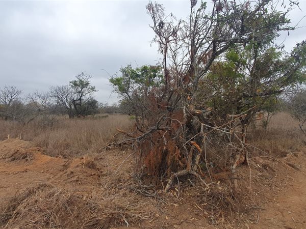 8 ha Land available in Tweefontein