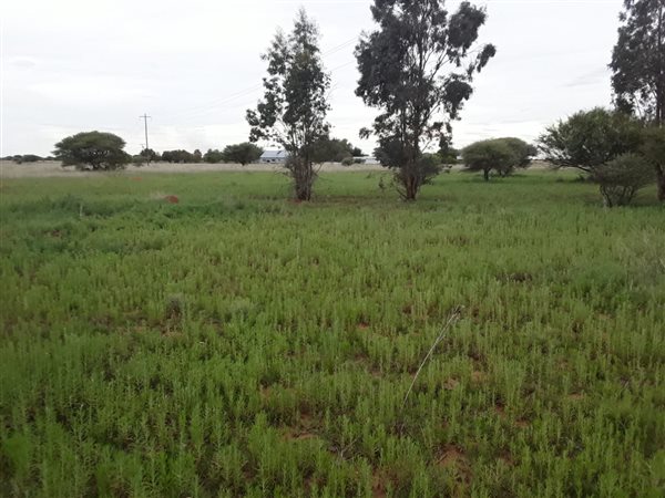 21.8 ha Farm