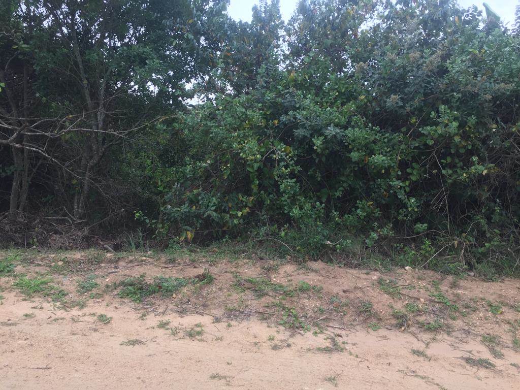 1267 m² Land available in Hibberdene photo number 8