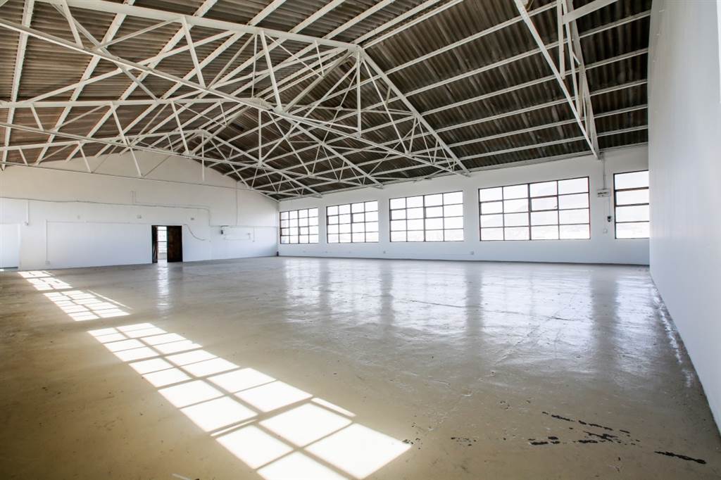 482  m² Industrial space in Paarden Eiland photo number 13