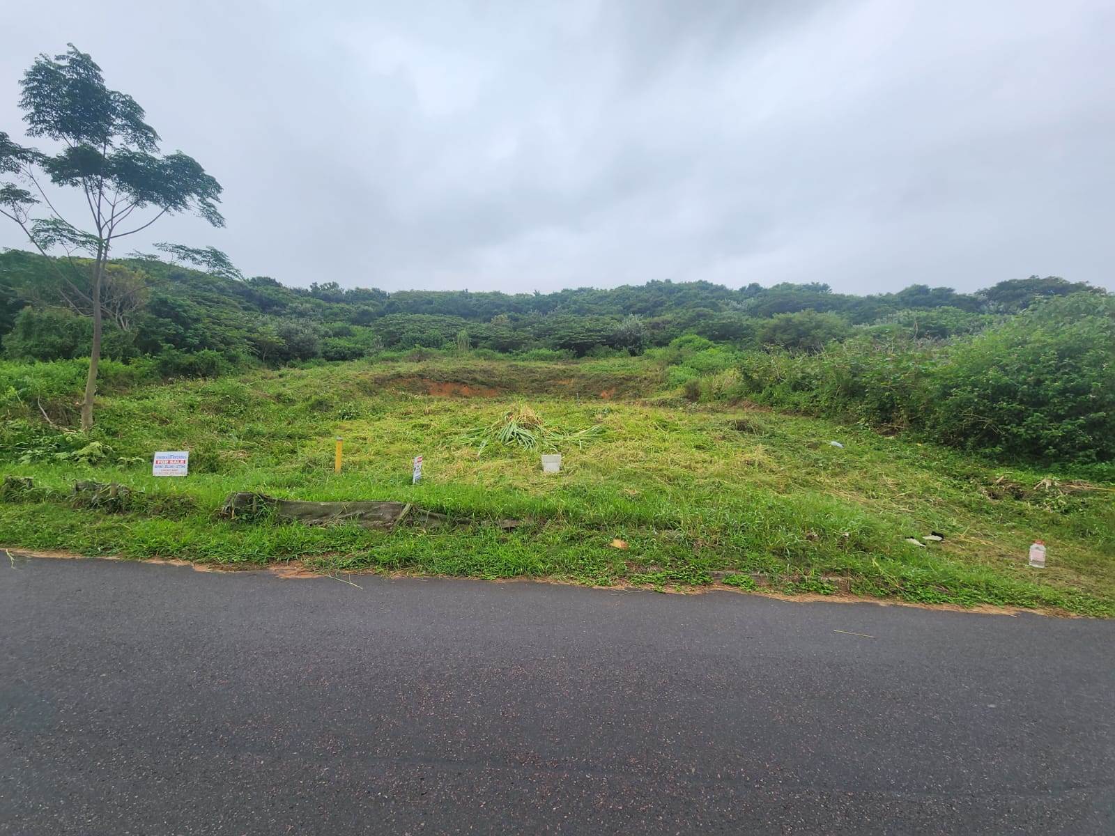 1048 m² Land available in Desainagar photo number 1