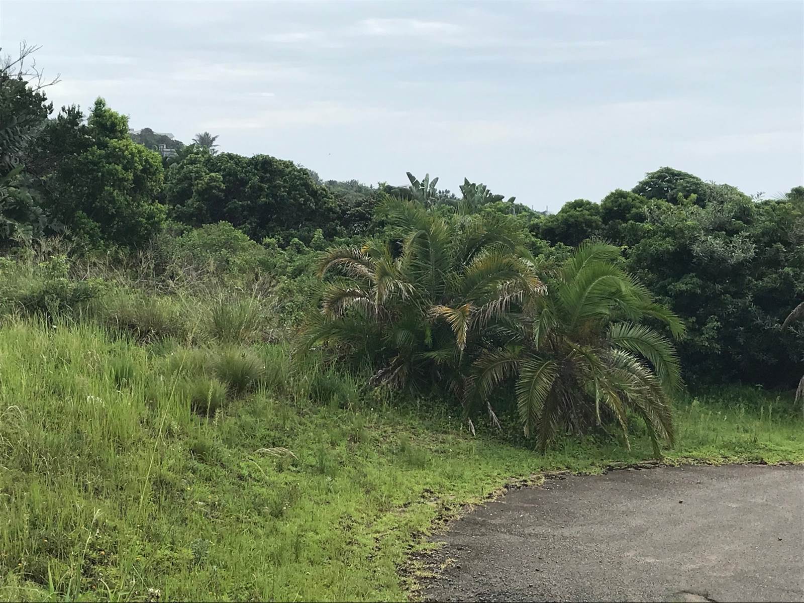 1737 m² Land available in Bazley Beach photo number 4