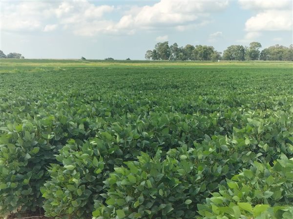 130 ha Farm 130 ha Farm