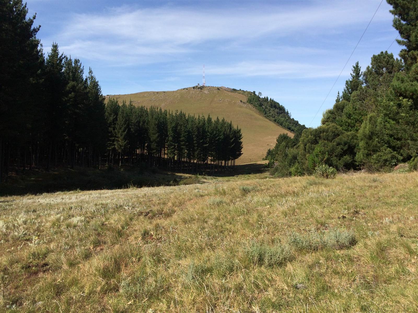 2 ha Land available in Hogsback photo number 8