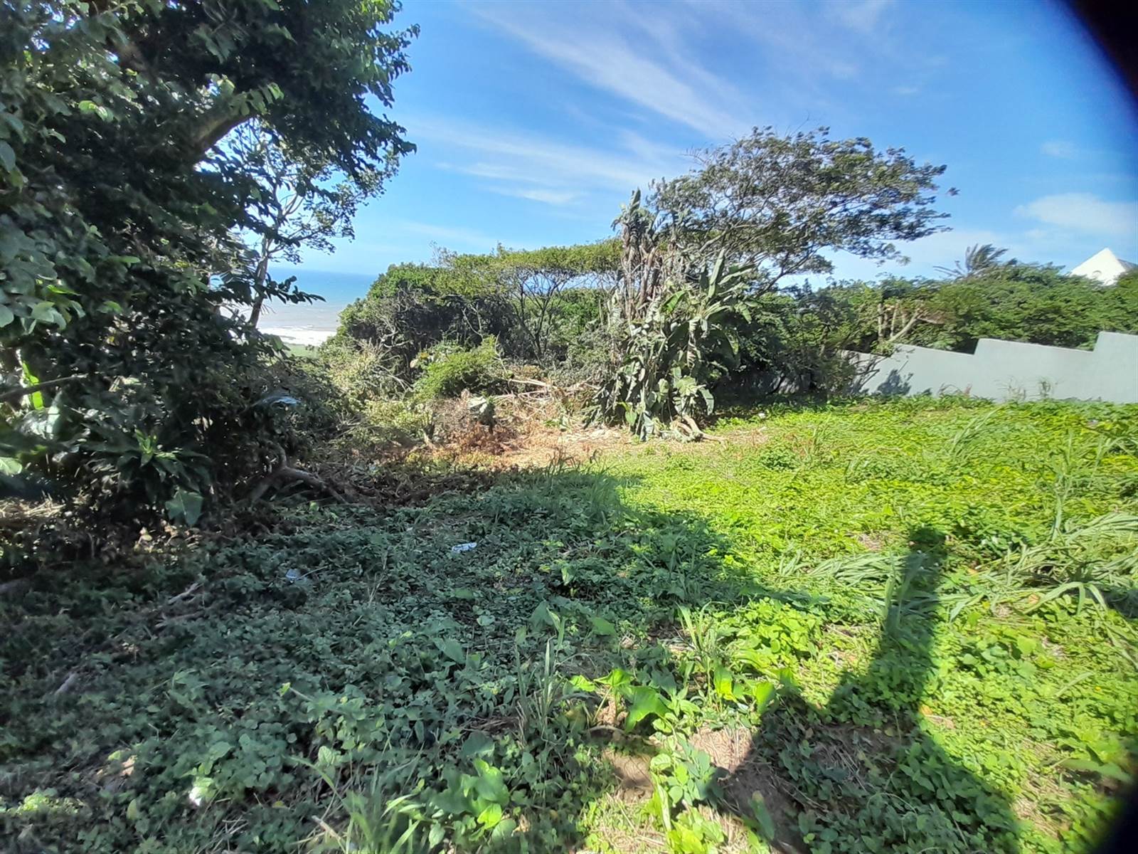 1450 m² Land available in Woodgrange photo number 2