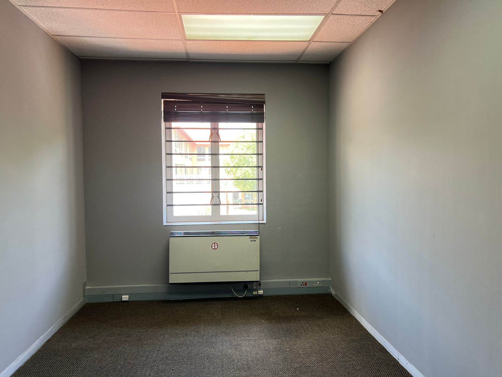 275  m² Commercial space in Craighall photo number 3