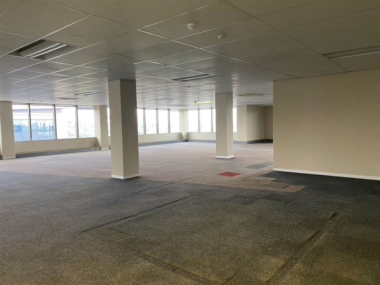 5137  m² Commercial space in Parktown photo number 23