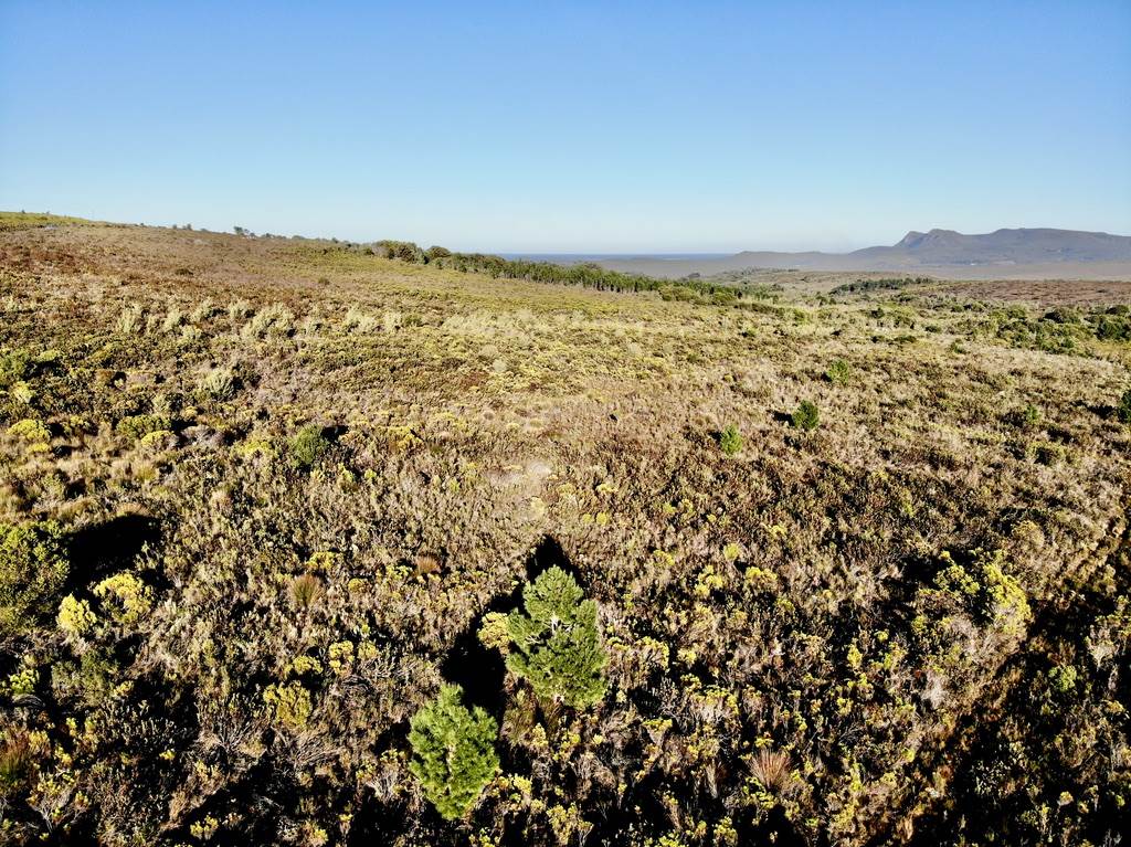 211.7 ha Land available in Stanford photo number 16