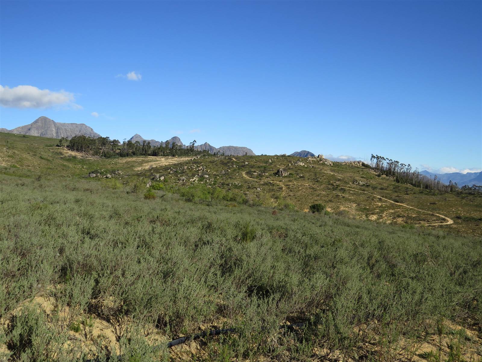 133 ha Farm in Northern Paarl photo number 9