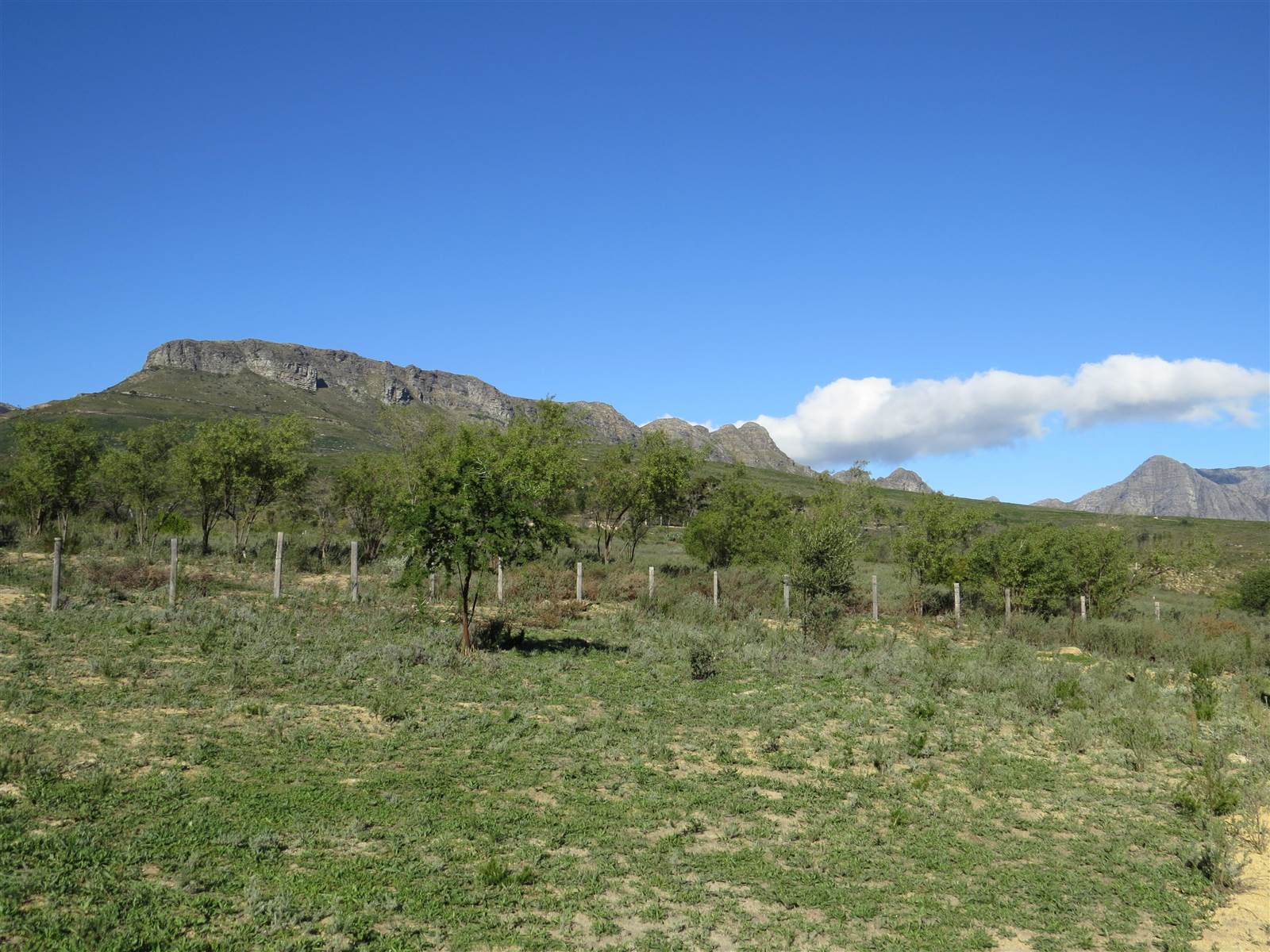 133 ha Farm in Northern Paarl photo number 10