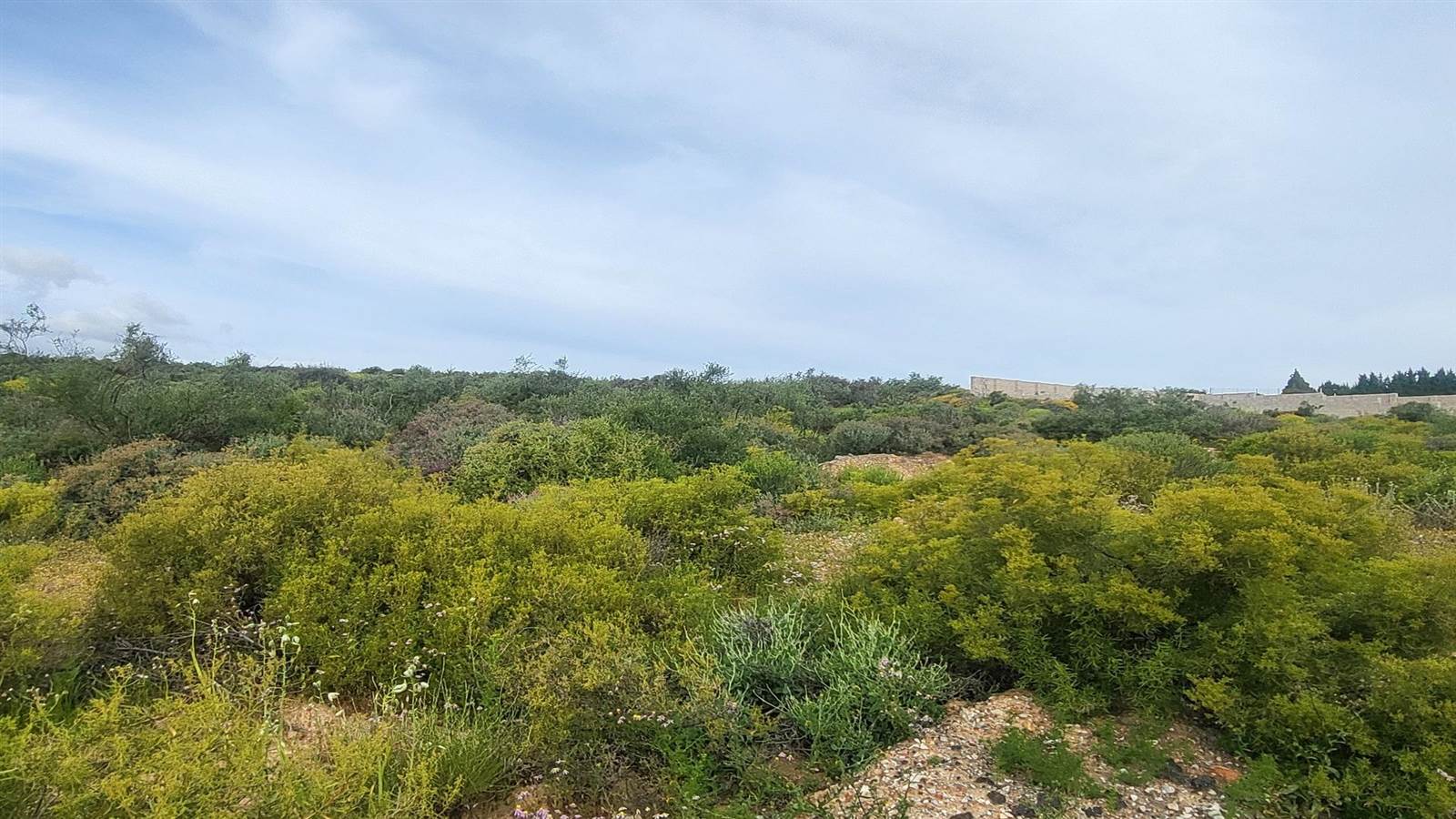 1503 m² Land available in Clanwilliam photo number 5