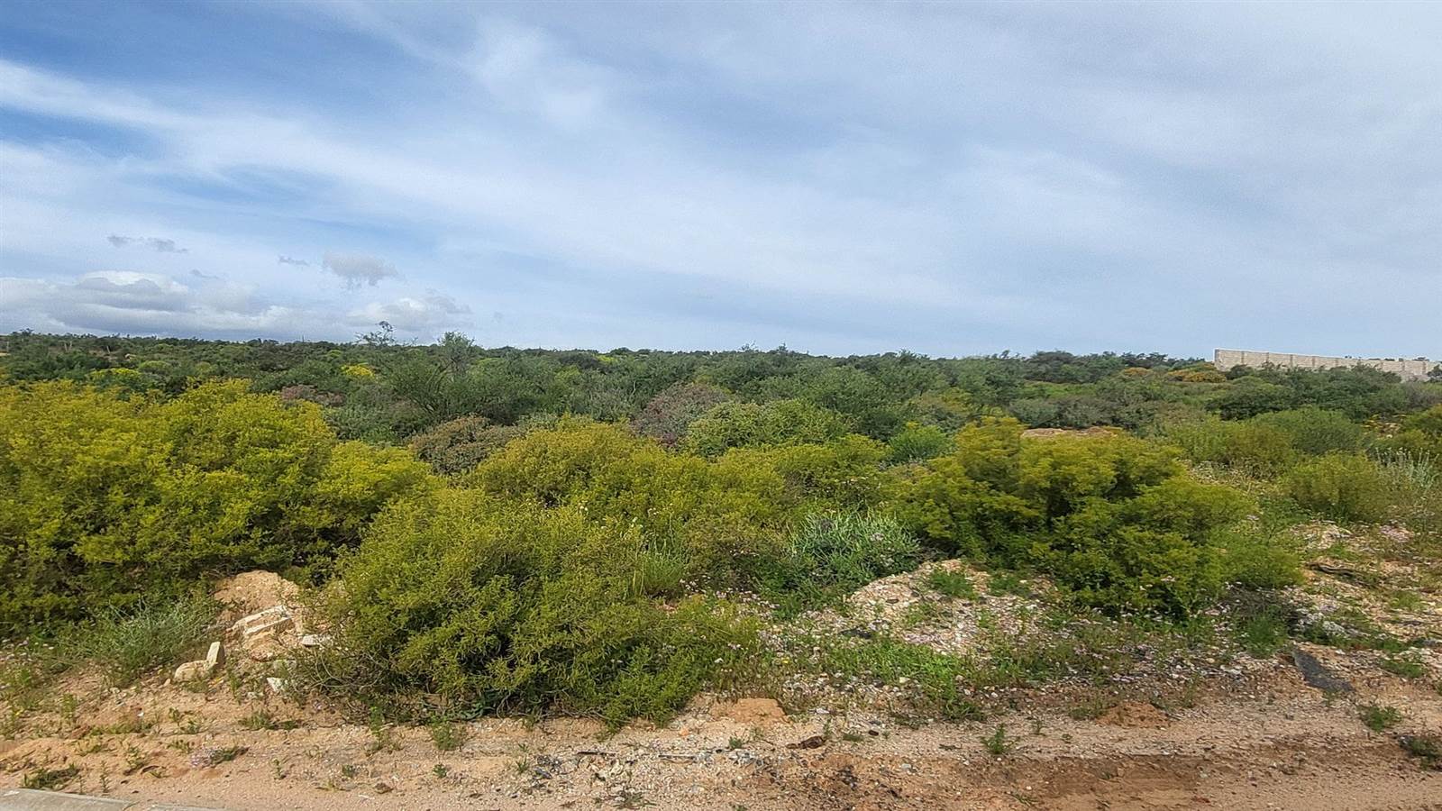 1503 m² Land available in Clanwilliam photo number 9