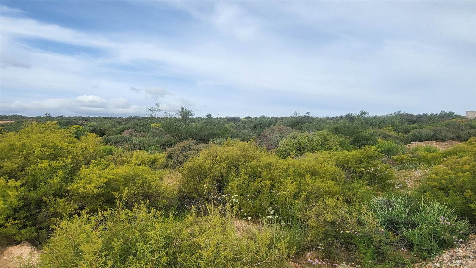 1503 m² Land available in Clanwilliam photo number 4