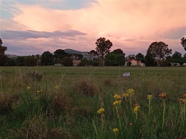 2 974 m² Land 2 974 m² Land